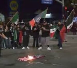 Read more about the article So, Called Protests